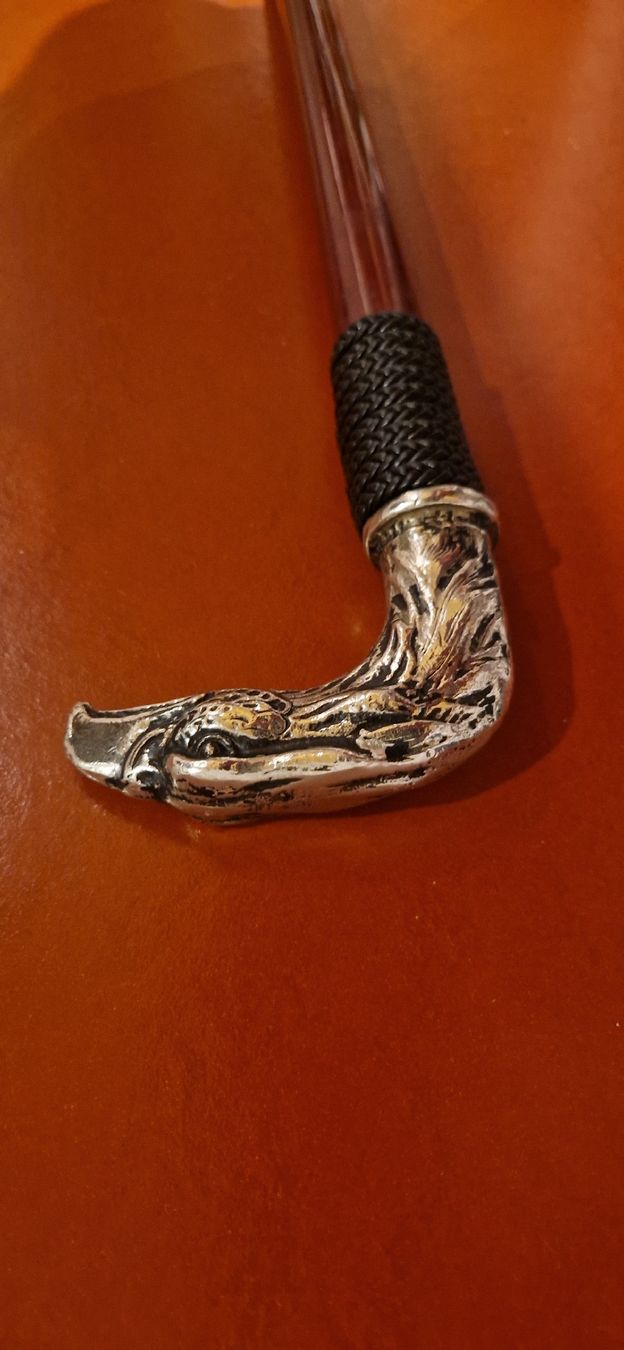 Gehhilfen: Walking cane – Gebraucht aus Burgdorf von maj_swz8 6