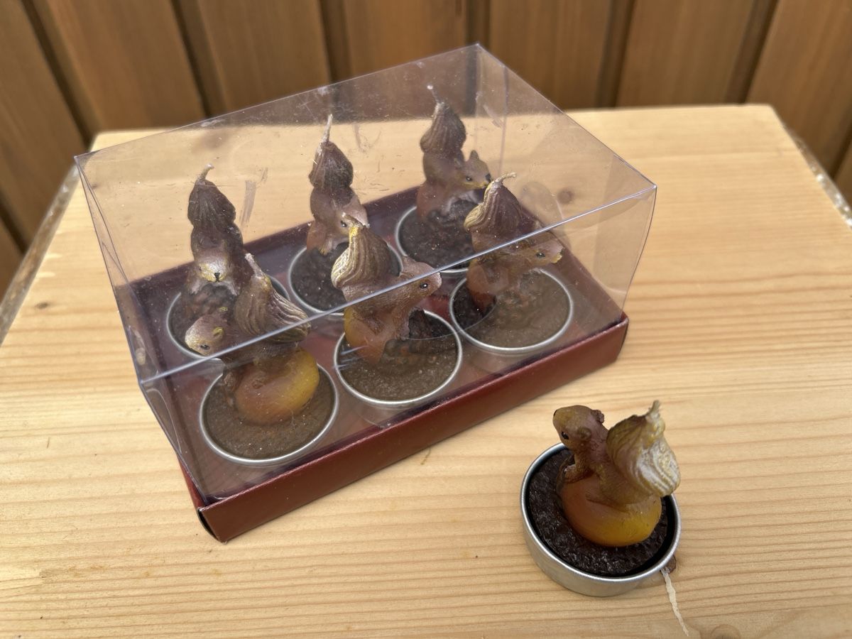 Candele: Tischkerzen Eichhörnchen – Usato da Schindellegi venduto da Stiche55 2