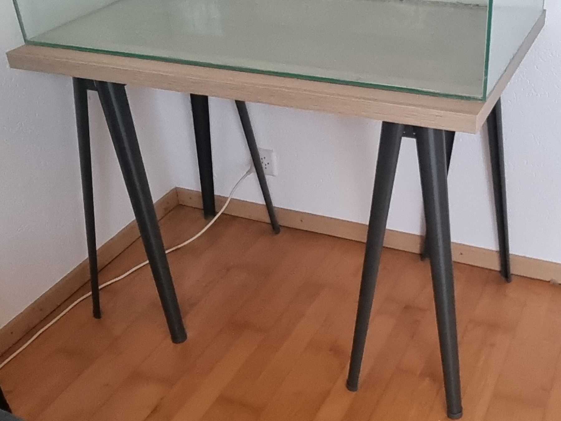 Terrario: Terrarium gross – Usato da Breitenbach venduto da 49fleur 5