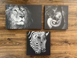 Safari Poster Leinwandbild Zebra / Löwe / Elefant