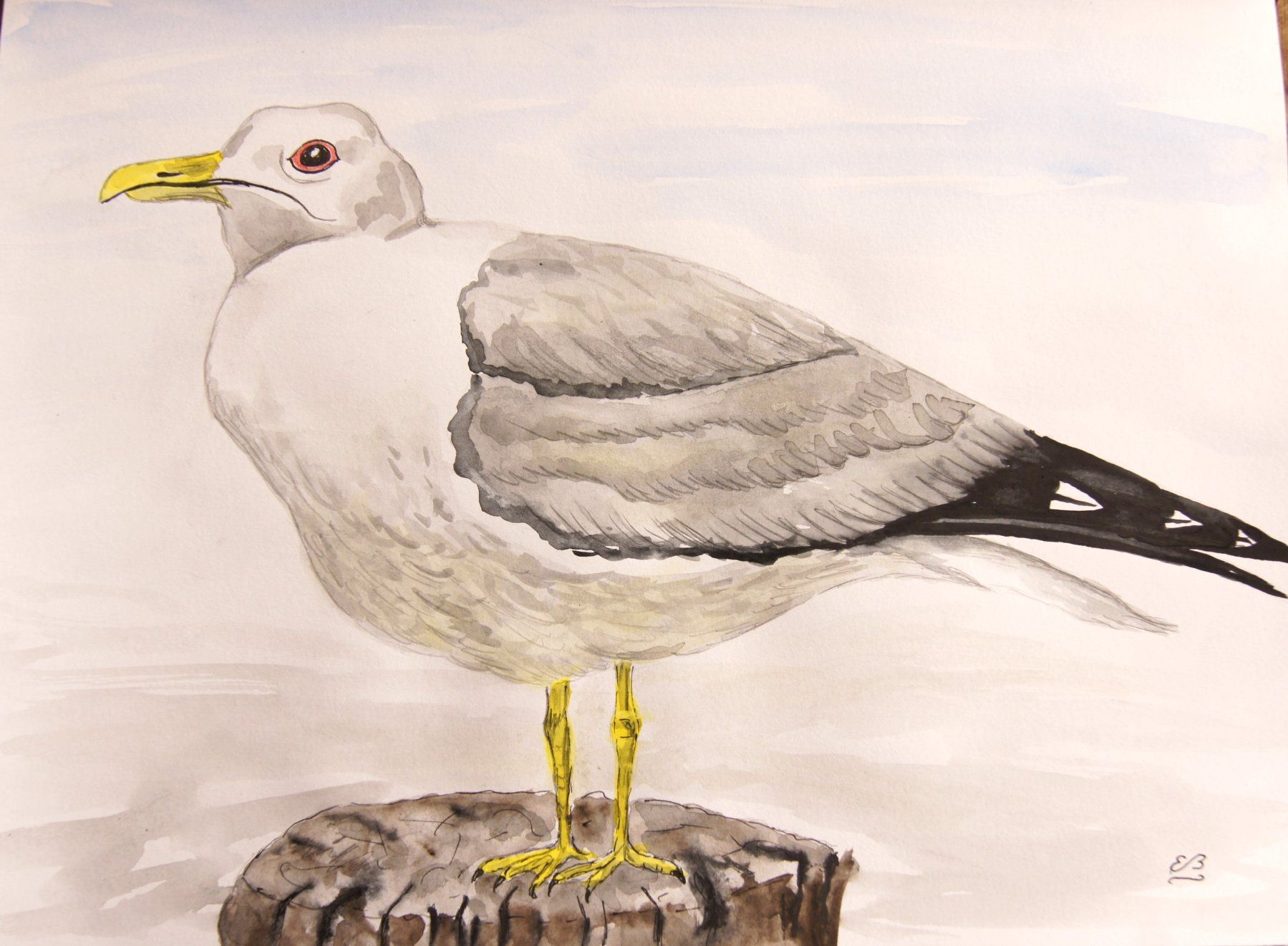 Dipinti: Zeichenbuch mit Tier Aquarellen – Usato da Fribourg venduto da erw_68dx 1