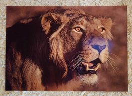 Posters 40x60 CM zu verschenken 