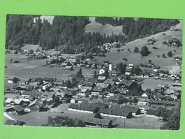 Lenk i.S.