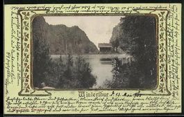 Winterthur, Seepartie mit Bäumen und Be