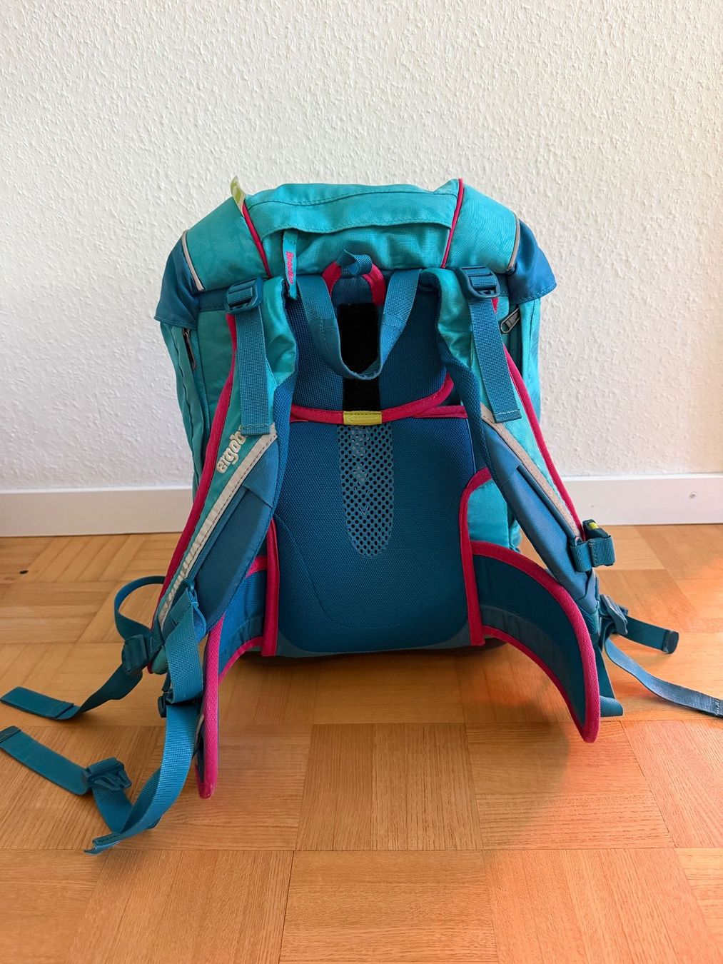 Ergobag Borse & Zaini: Ergobag Schultasche Set mit Sporttasche und Etui – Usato da Münchenstein venduto da Irynka 8