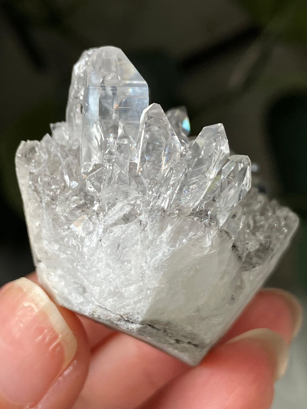 Minerali & Pietre curative: Klarer Quarz Cluster – Nuovo (secondo la descrizione) da Neuheim venduto da m.hald 3