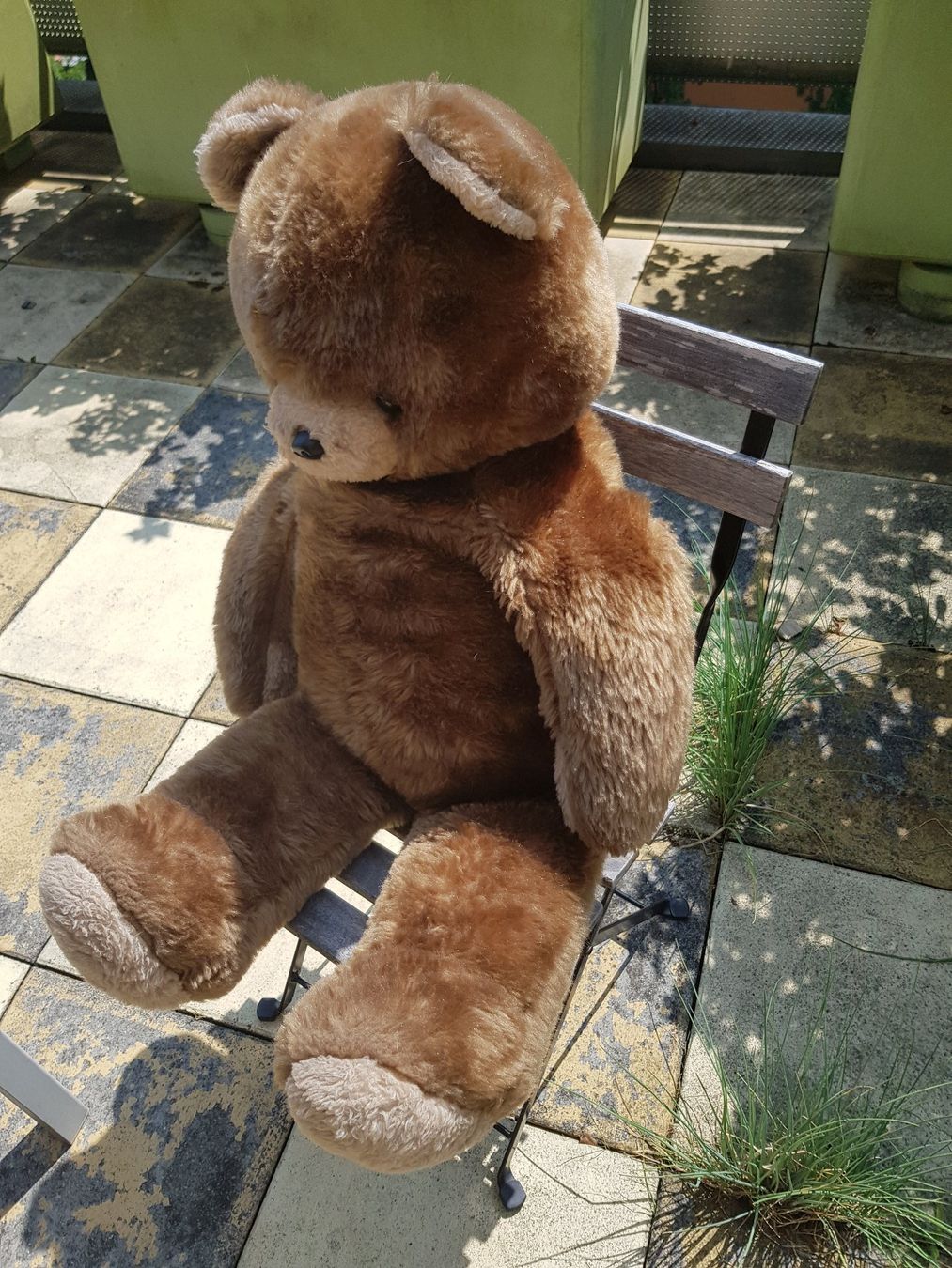 Giocattoli: Teddybär,  88cm gross – Usato da Jona venduto da dampfnuggi 2