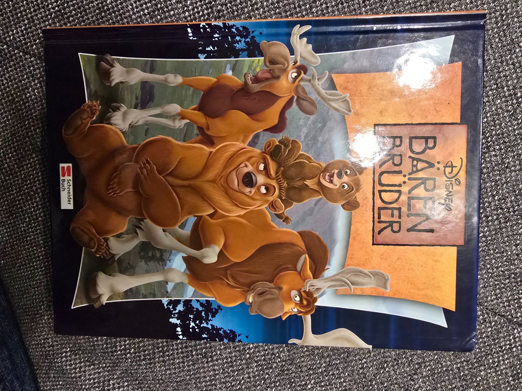 Libri: Disney Bärenbrüder Buch – Usato da Büttikon AG venduto da Amineah