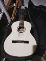 Akustische Gitarre