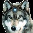 Profile image of Itep04