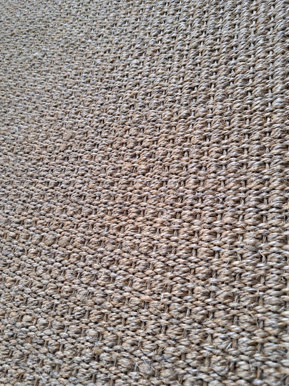 Tappeti: Salsa Sisal Teppichboden rest – Nuovo (secondo la descrizione) da Duebendorf venduto da Mauxus 2