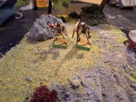 Warhammer Untote Skelette Krieger, gebraucht!