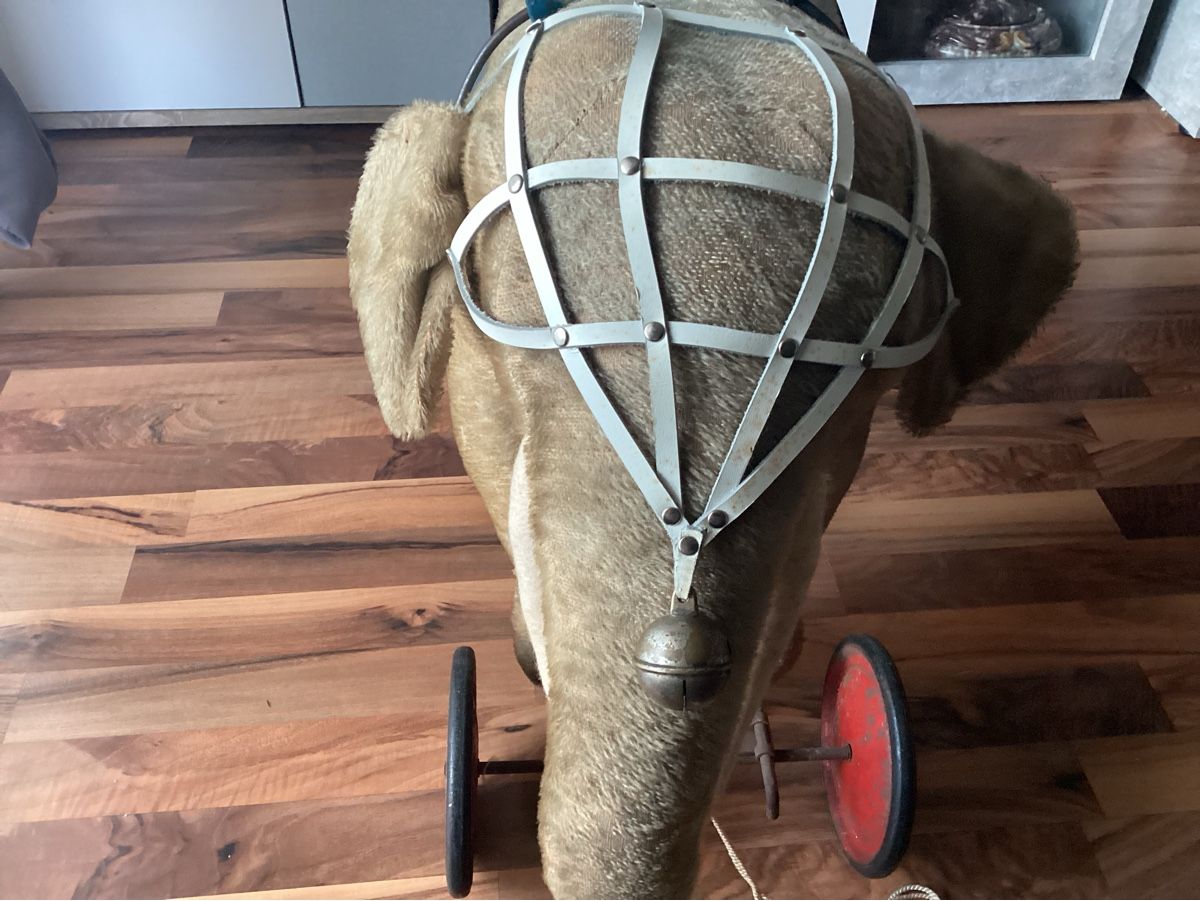 Steiff Giocattoli: ALTER STEIFF ELEFANT AUF RÄDER UM 1920/30 – Usato da Münchenstein venduto da NoSu98 1