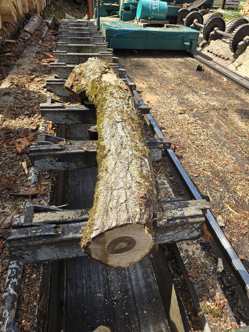 Holzartikel: Nussbaumstamm – Neu (gemäss Beschreibung) aus Ramsei von Waelchris 1