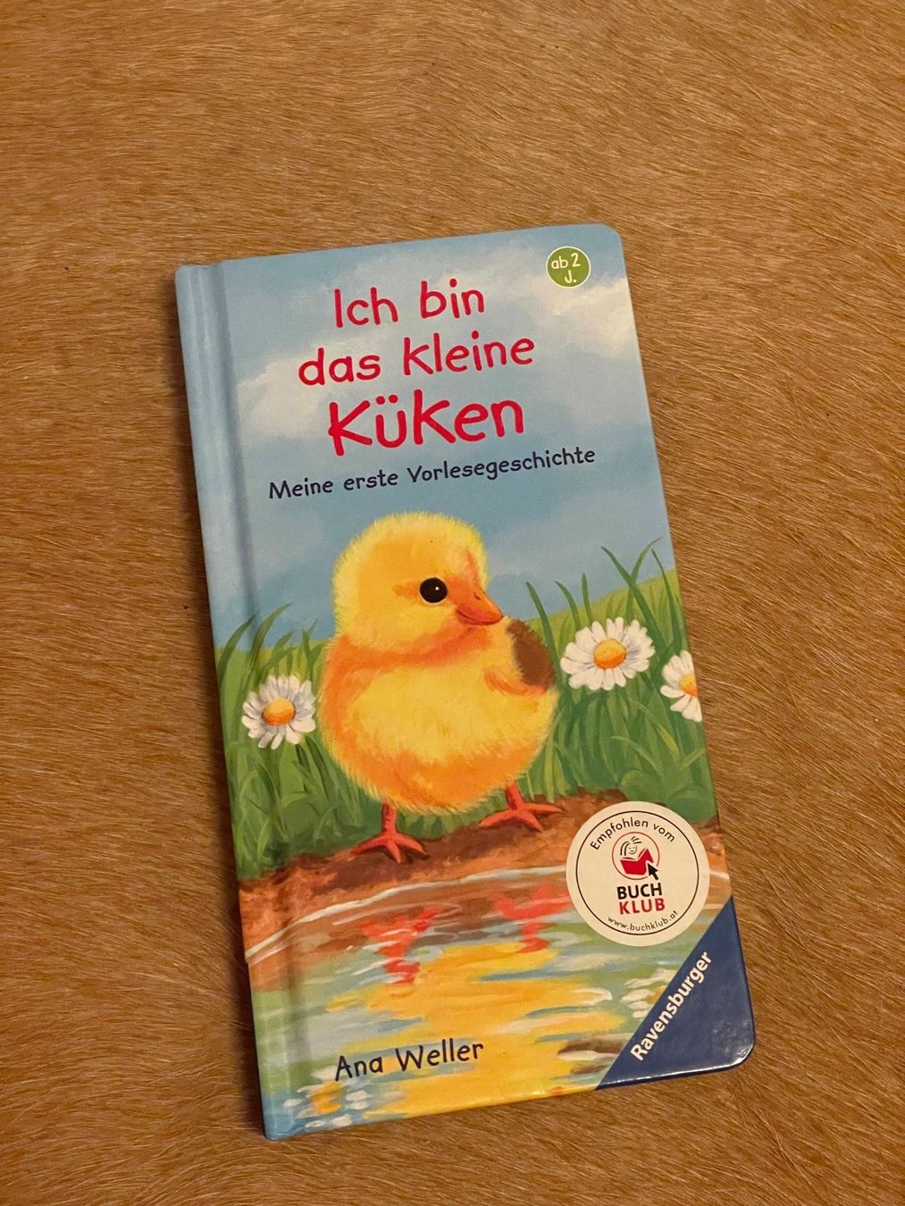 Livres: Kinderbuch "Ich bin das kleine Küken" – Neuf (Voir description) à luzern par plueschmors.