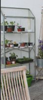 IKEA Glas Gewächs-Kasten Glasregal mit Glastüren