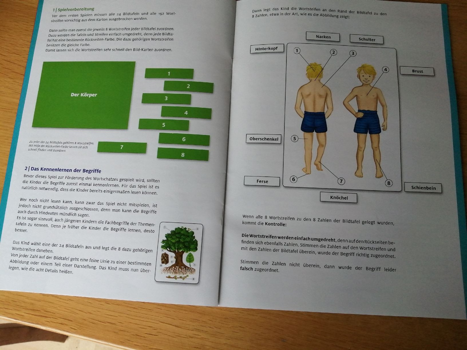 Spiele: Kinderspiel Konzentration & Wortschatz 2in1 – Neu (gemäss Beschreibung) aus Honau von holunder3 7