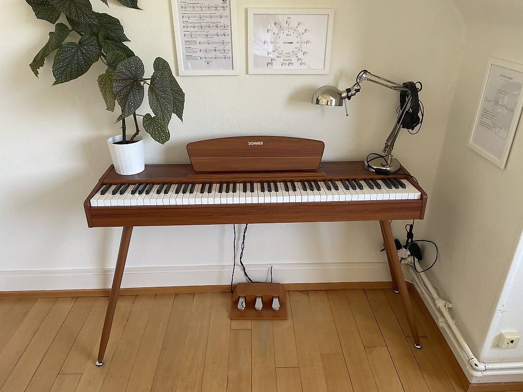 Strumenti musicali: E-Piano Donner DDP-80 Wood – Usato da Horgen venduto da goldfinger1 1