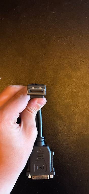 Unità & Adattatore: DisplayPort-zu-DVI-Adapter – Usato da Weisslingen venduto da roe_tz6r 1