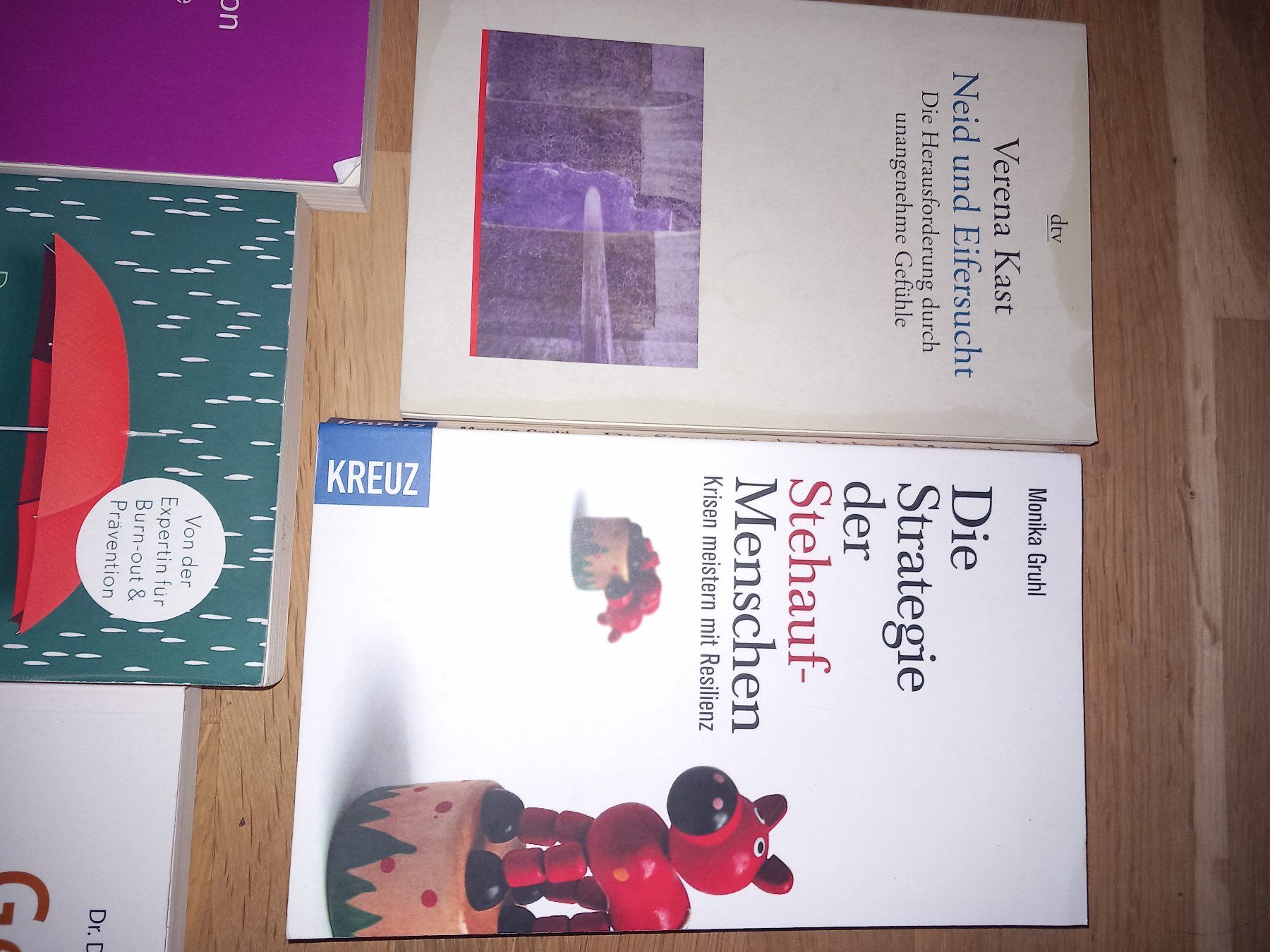 Libri: 5 Bücher Resilienz, etc – Usato da Maschwanden venduto da summernight7 4