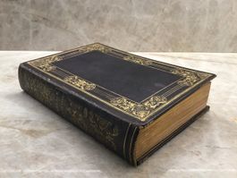 Voyage pittoresque en Suisse en Savoie et sur les Alpes 1852