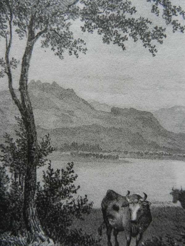 Stiche: Pfäffikersee Zürich – Gebraucht aus Risch von Rischli15 3