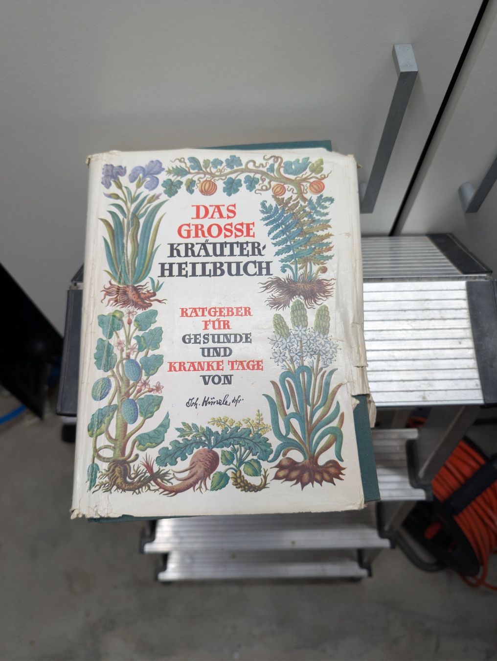 Bücher: Antikes Kräuter Heilbuch – Gebraucht aus Wynau von Zebrafurz