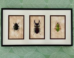 Trio d’insectes au point de croix