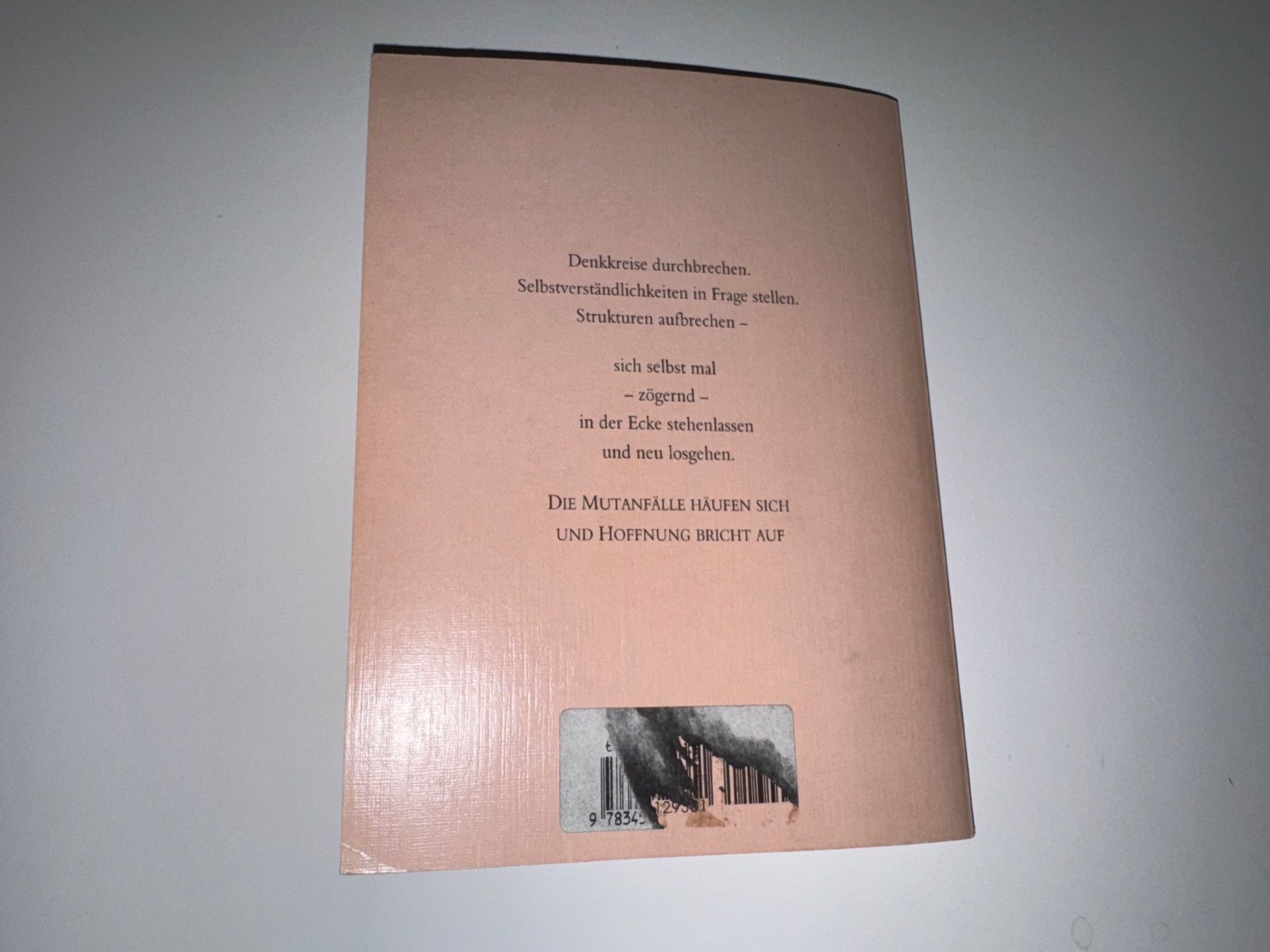 Libri: Buch: Hoffnungsschimmer auf Hochglanz poliert – Usato da Grosswangen venduto da Second_hand_paradise 7