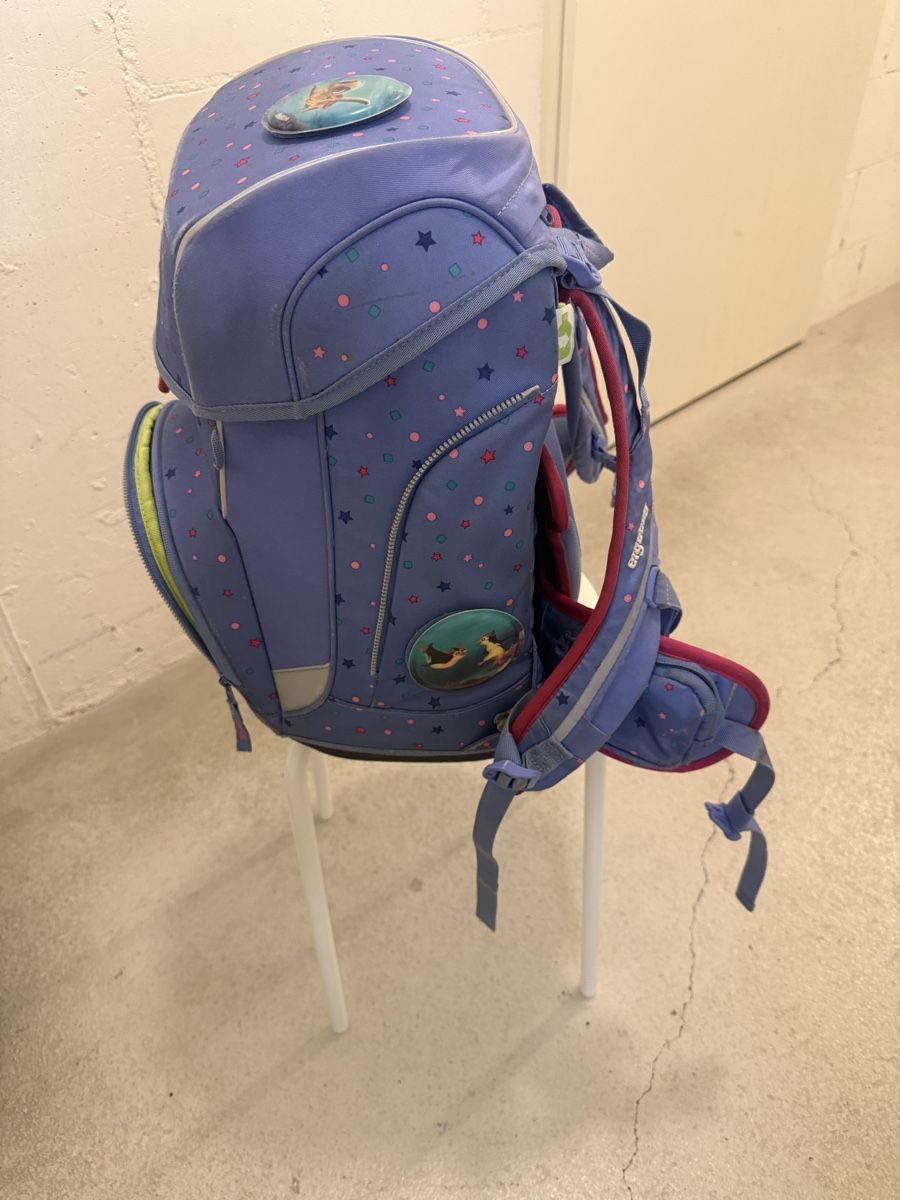 Borse & Zaini: Ergobag Schulthek inkl. zwei Etuis – Usato da Aarau venduto da son_rd99 5