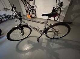 Roleto Bike 16.5 Zoll (Rahmengrösse 42cm)
