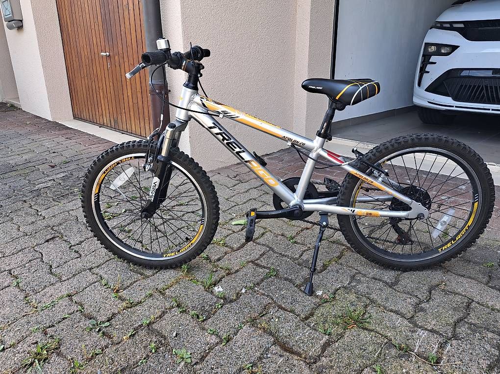 Trelago Biciclette: Kinderfahrrad 20 Zoll Trelago – Usato da Reichenburg venduto da Jud0815 4