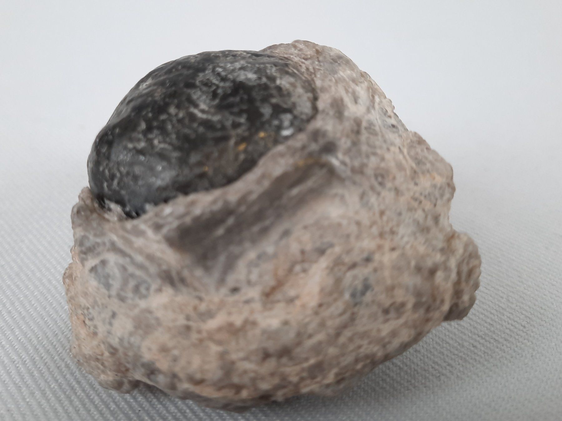 Minerali & Pietre curative: 2 Apachentränen in Muttergestein – Usato da Beinwil am See venduto da Restwert_Beinwil 6