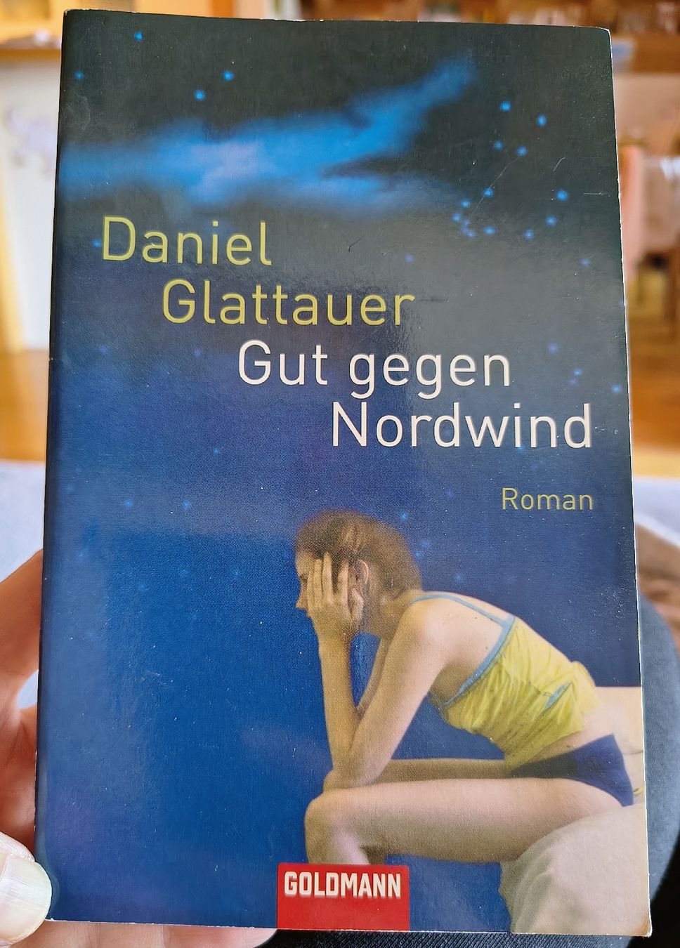Libri: Roman "Gut gehen Nordwind" – Nuovo (secondo la descrizione) da Faulensee venduto da bb_13