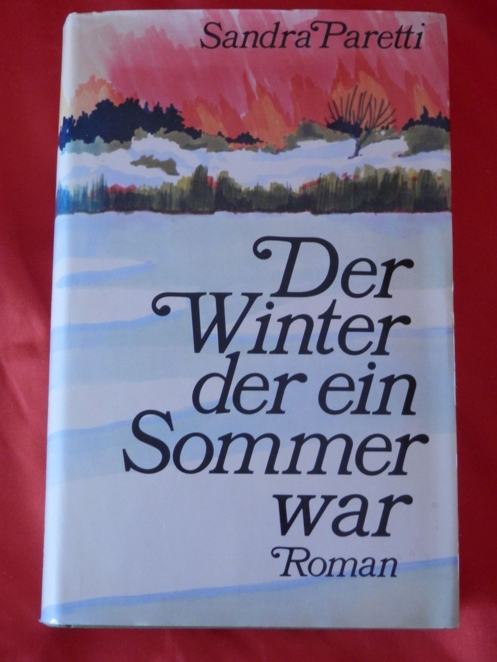 Libri: Der Winter der ein Sommer war von Sandra Paretti – Usato da Weiach venduto da weiach81