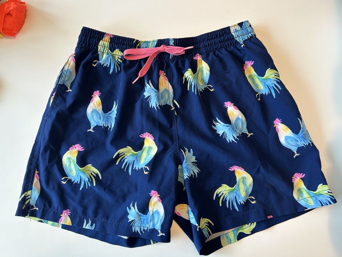 Costumi da bagno: Chubbies Herren Badehosen gr. L – Nuovo (secondo la descrizione) da Luzern venduto da Exberlinerz