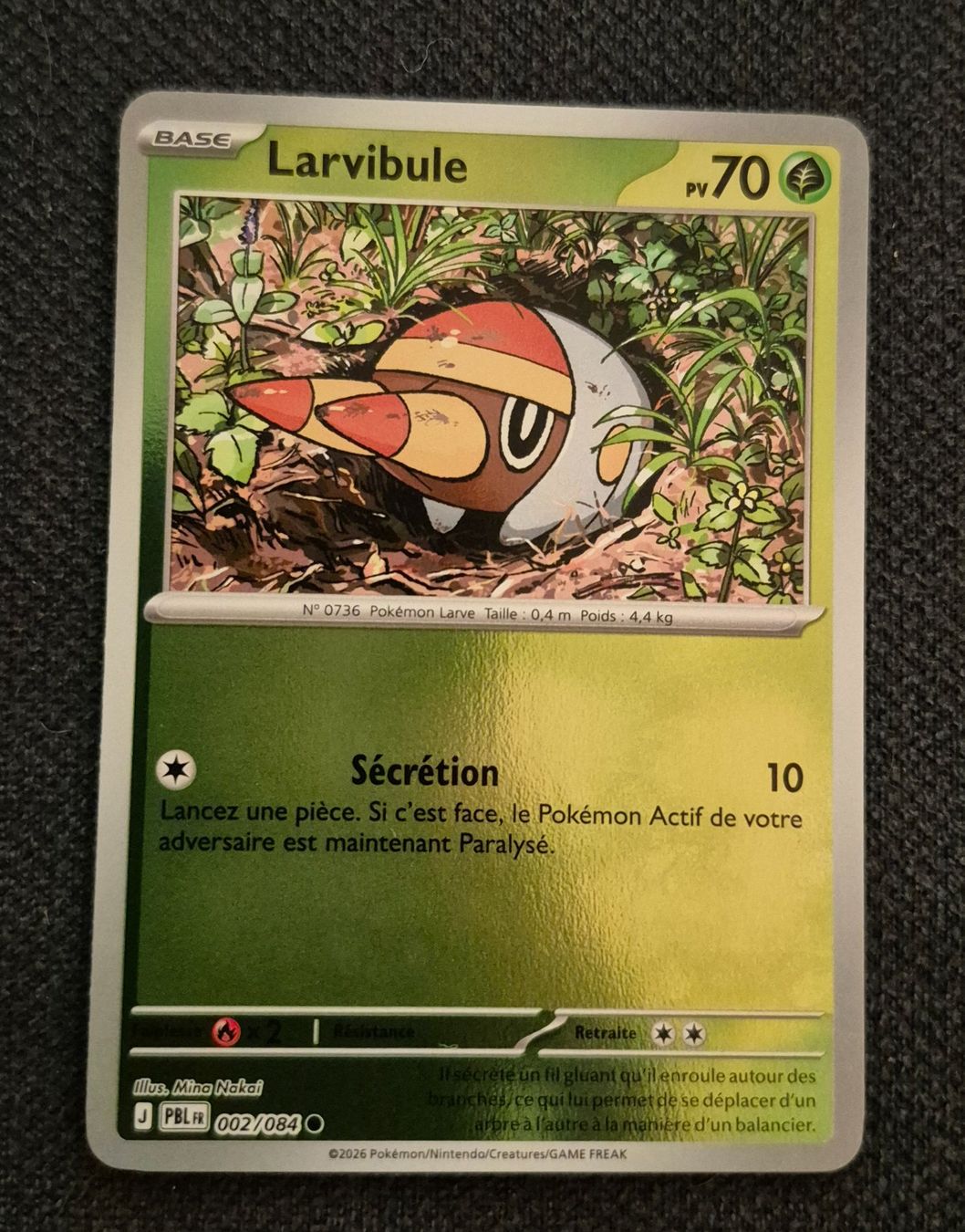 Pokémon Cartes à collectionner: LARVIBULE 002/084 REVERSE POKEMON NUIT NOIRE – D'occasion à Grand-Lancy par luc111