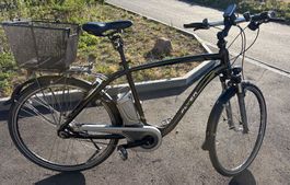 Herren e-Bike Flyer T11 (2015) mit 2 Akkus