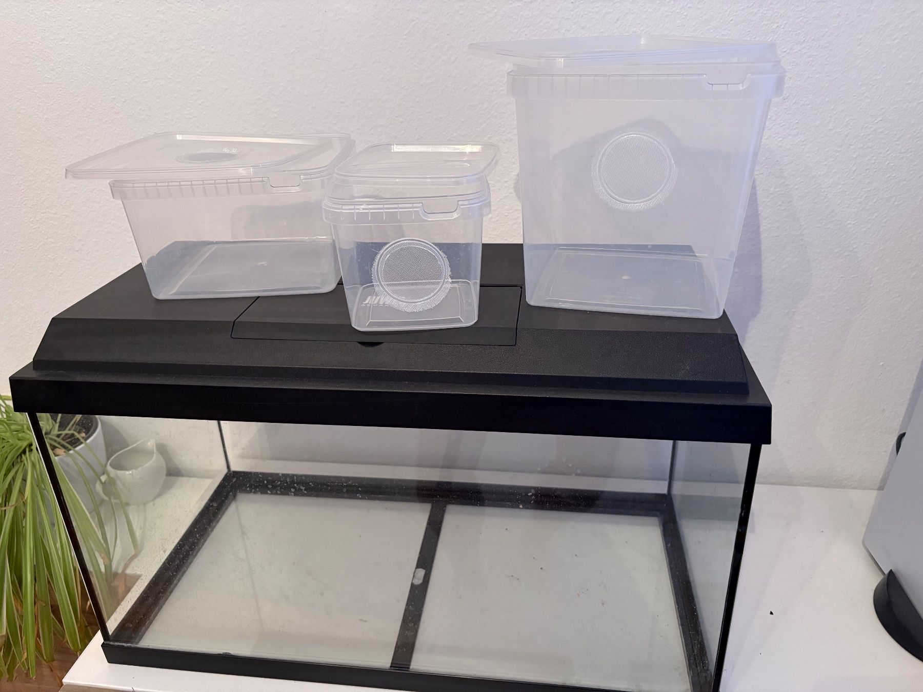 Juwel Terrario: Terrarium – Usato da Liebefeld venduto da Kaufdasding 1