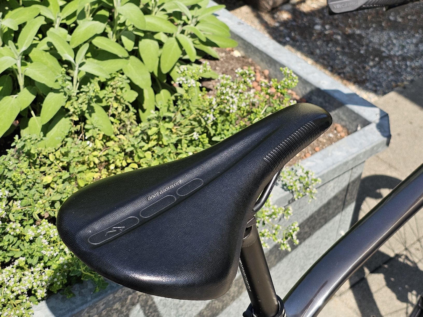 Specialized Biciclette: Specialized Source Eleven L – Usato da Burgistein venduto da chillyB 7