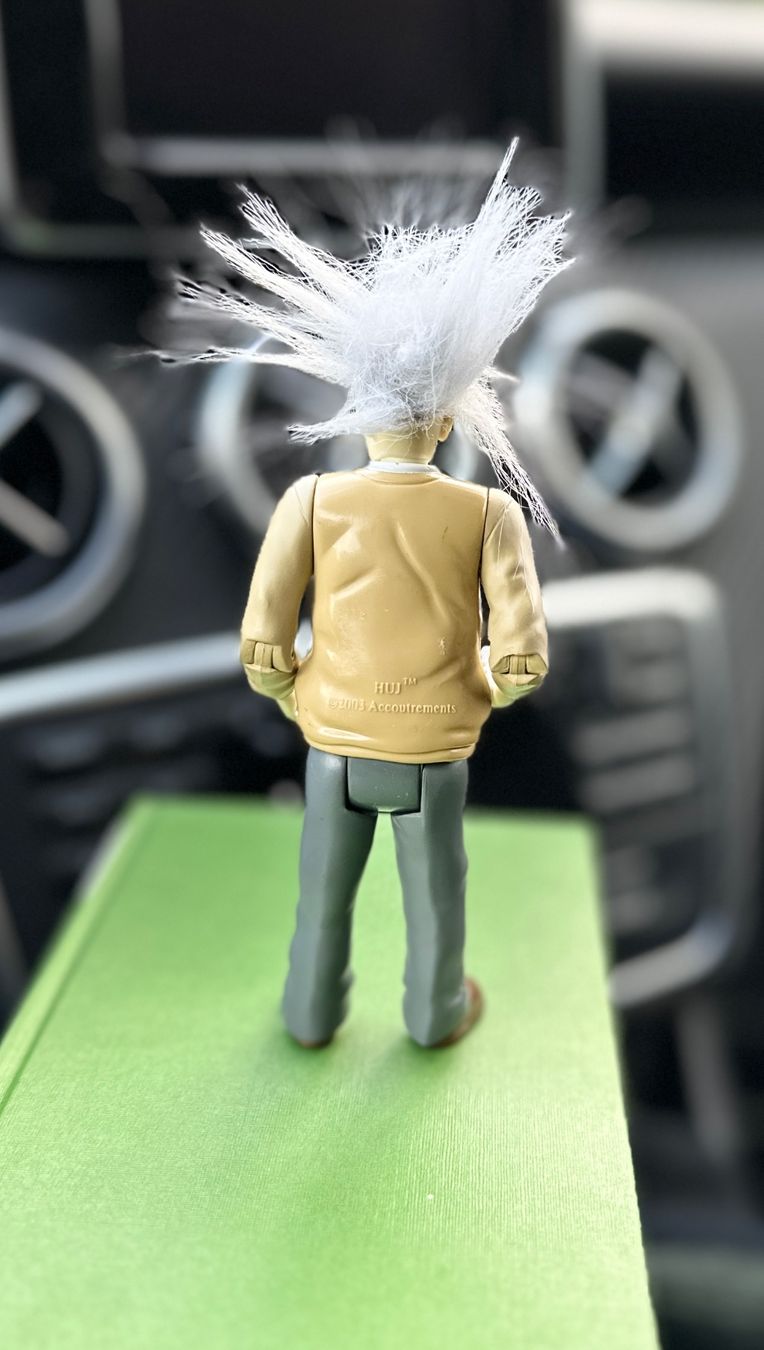 Figuren: Albert Einstein Action Figur 2003 HUJ – Gebraucht aus Strengelbach von shihtzuliving_22 1