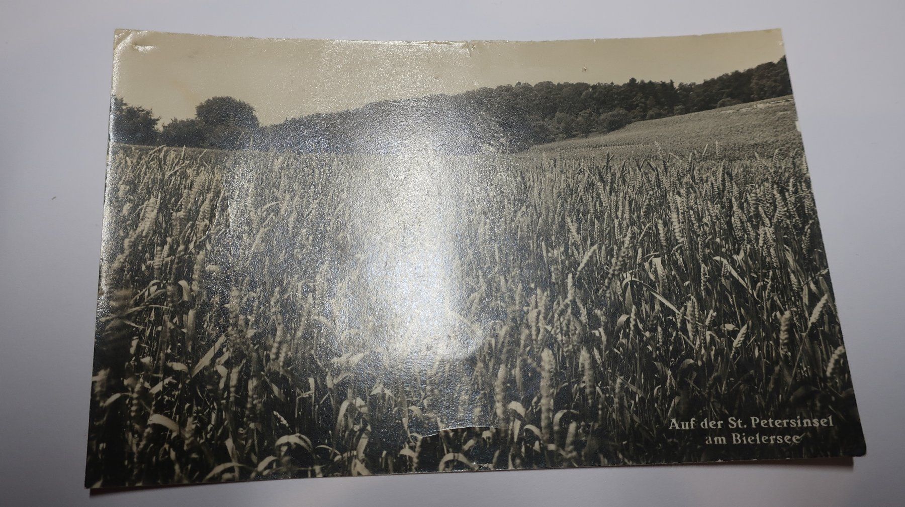 Cartoline postali: Auf der St. Peterinsel am Bielersee – Difettoso da Cormoret venduto da Pascalll2001 1