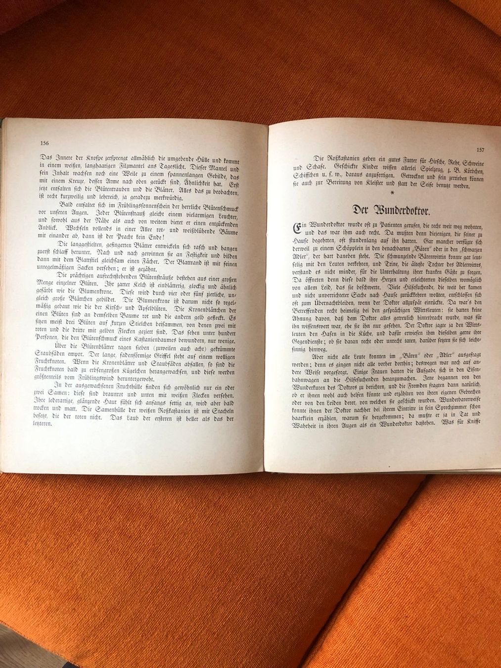 Libri: antikes Kinderbuch, schweizer Jugendschatz ca. 1930 – Usato da Buchs ZH venduto da krenzi 3