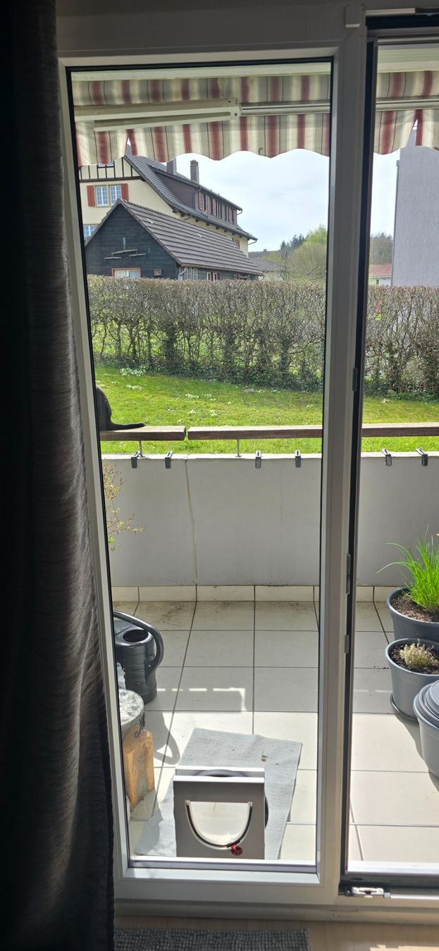 Gattaiole: Katzenklappe mit Sicherheitsglas. – Usato da Lohn-Ammannsegg venduto da leo6684