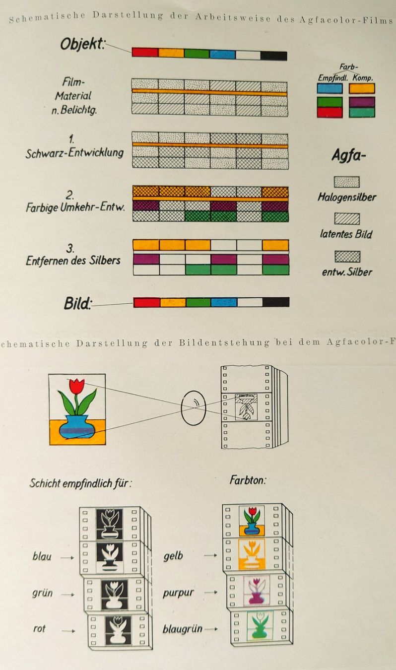 Libri: Agfacolor das farbige Lichtbild – Usato da Pfäffikon SZ venduto da truek 3