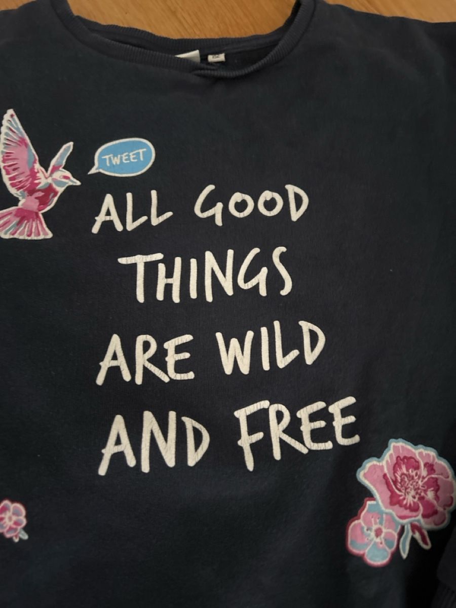 Tom Tailor Maglioni & Felpe: 2 Tom Tailor Pullover Gr. M 152 Wild & Free Mon Amour – Usato da Schlieren venduto da Gizmo8952 2