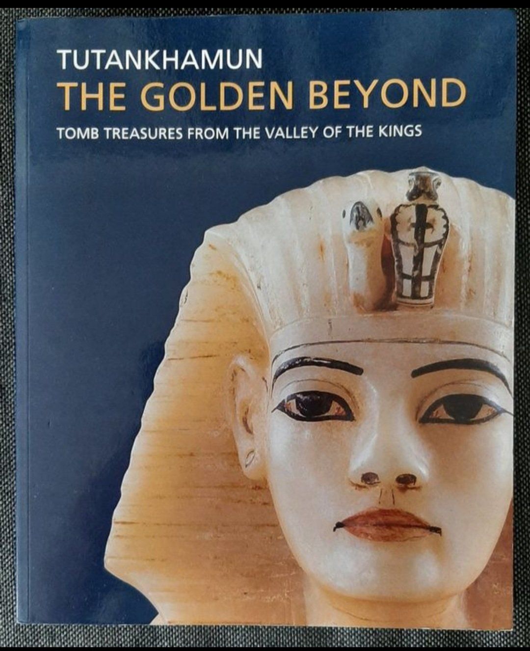 Libri: Tutanchamun: The Golden Beyond – Usato da Dietikon venduto da mih_xsk8