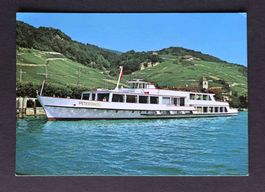 AK M S Petersinsel Schiff auf dem Bielersee