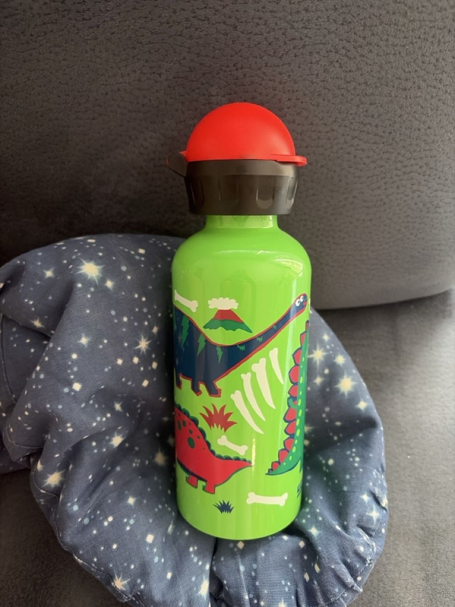Sigg Borracce & Thermos: Sigg Flasche Dino Neu – Nuovo (secondo la descrizione) da Embrach venduto da Yeasy 1