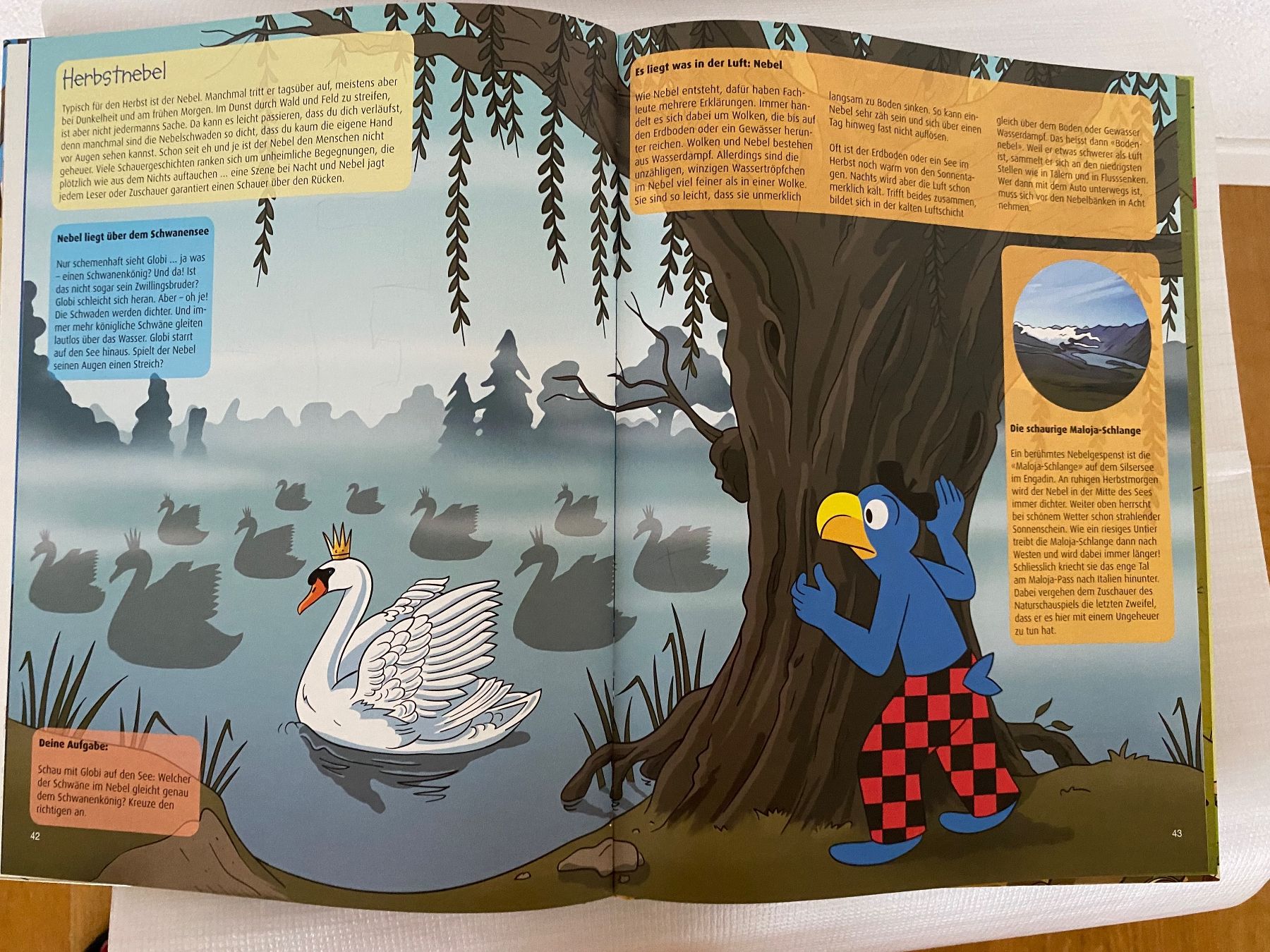 Bücher: GLOBIS HERBST(MIT GLOBI DURCH DAS JAHR) – Neu (gemäss Beschreibung) aus Zürich von Fashionparade 2